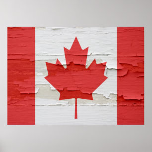 Póster Bandeira canadense resistida