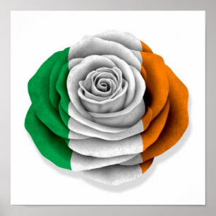 Poster Bandeira cor-de-rosa do irlandês no branco