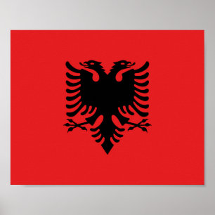 Poster Bandeira da Albânia