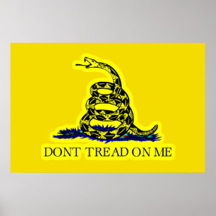 Poster Bandeira da especialidade da bandeira de Gadsden
