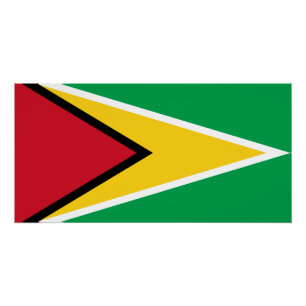 Póster Bandeira da Guiana