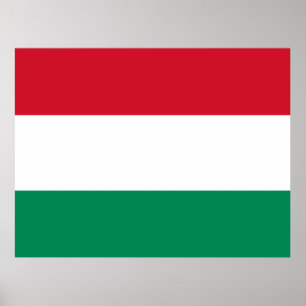 Poster Bandeira da Hungria