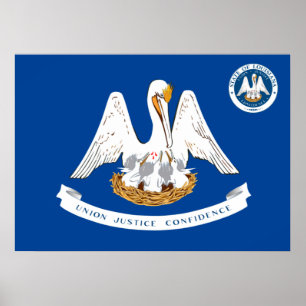 Poster bandeira da Louisiana