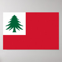 Bandeira da Nova Inglaterra (pinho apenas) - não o