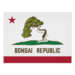 Póster Bandeira da República Bonsai
