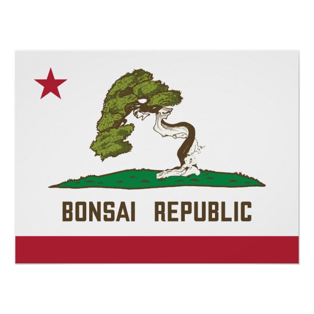 Póster Bandeira da República Bonsai (Frente)