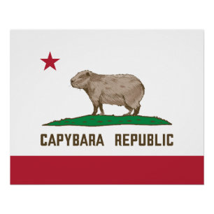 Póster Bandeira da República de Capybara