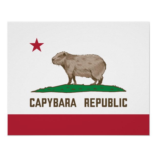 Póster Bandeira da República de Capybara (Frente)