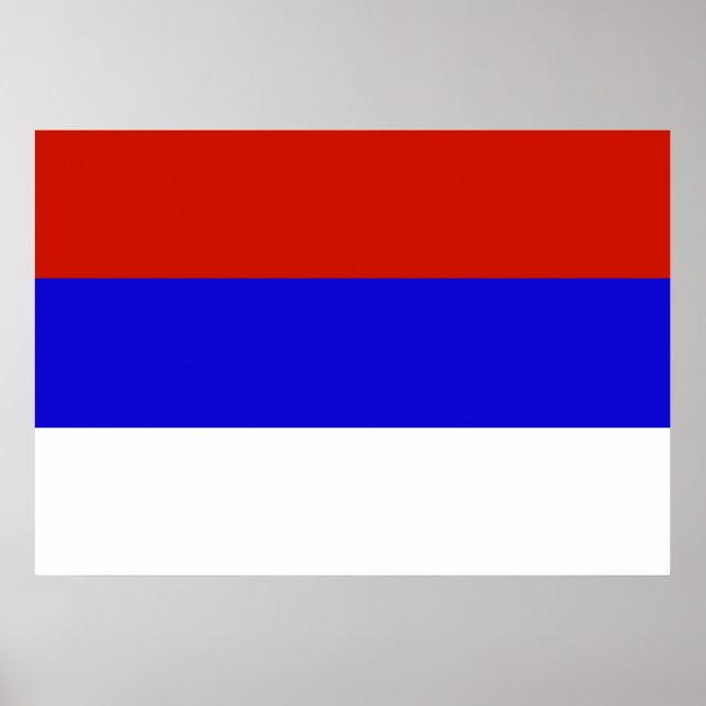 Póster Bandeira da Sérvia (Frente)