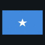 Póster Bandeira da Somália<br><div class="desc">Esta design é uma das muitas criações internacionais únicas feitas pela República dos Países e é uma forma excelente de mostrar o seu orgulho nacional. O design é personalizável e está disponível em camisas, aventais, tampas de tanques, canecas, canecas de cerveja, mouspads, chaveiros, adesivos para para para-choques, chapéus e muitos...</div>