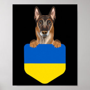 Poster Bandeira da Ucrânia Cachorro Malinoi Belga na Bols