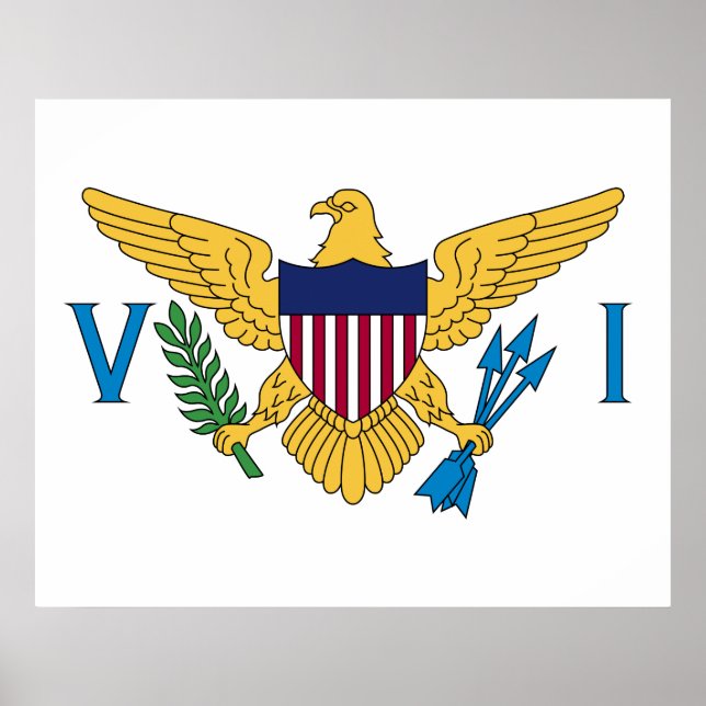 Poster Bandeira das Ilhas Virgens dos Estados Unidos (Frente)