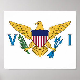 Poster Bandeira das Ilhas Virgens dos Estados Unidos