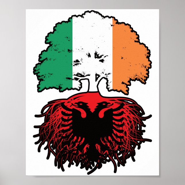 Poster Bandeira das Raízes de Árvore da Albânia na Irland (Frente)