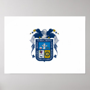 Póster Bandeira de Aguascalientes