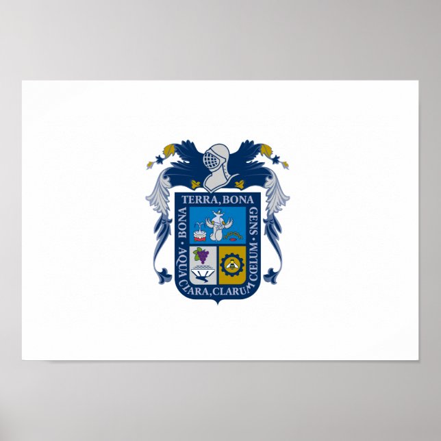 Póster Bandeira de Aguascalientes (Frente)