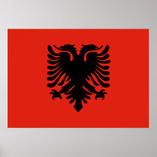 Póster Bandeira de Albânia