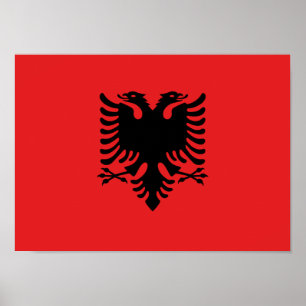 Poster Bandeira de Albânia - Flamuri Kombëtar - bandeir
