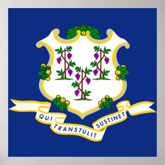 Poster bandeira de Connecticut