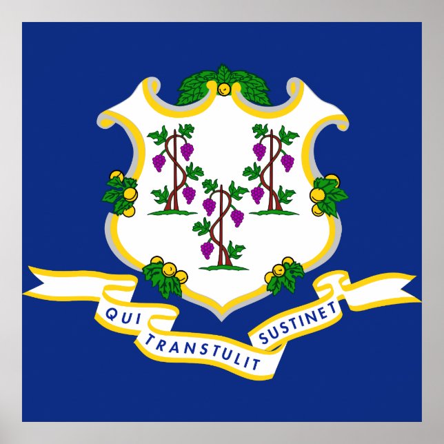 Poster bandeira de Connecticut (Frente)
