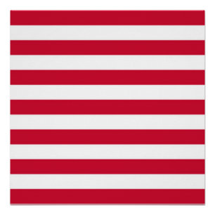 Póster Bandeira de Goes