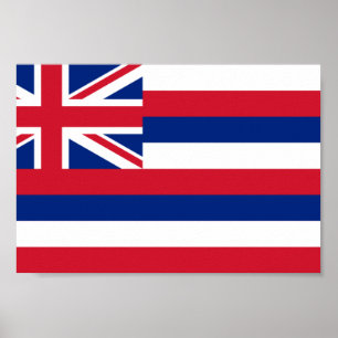 Póster Bandeira de Havaí