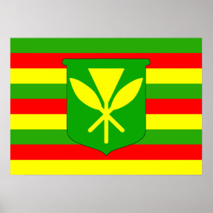 Poster Bandeira de Kanaka Maoli