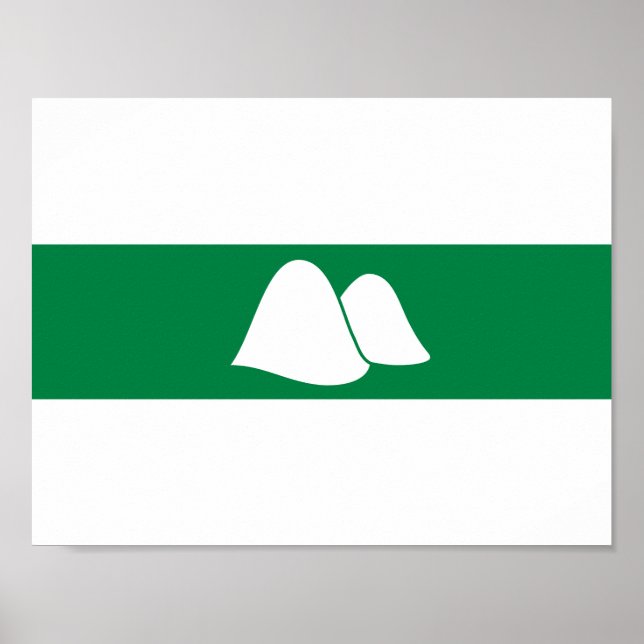 Póster Bandeira de Kurgan (Frente)