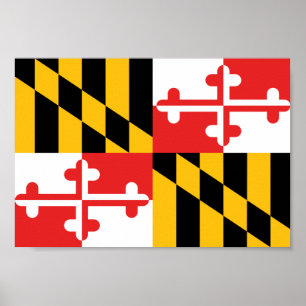 Poster Bandeira de Maryland