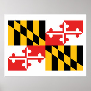 Poster Bandeira de Maryland