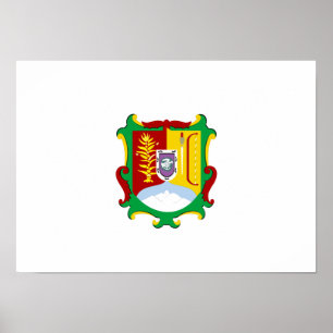 Póster Bandeira de Nayarit