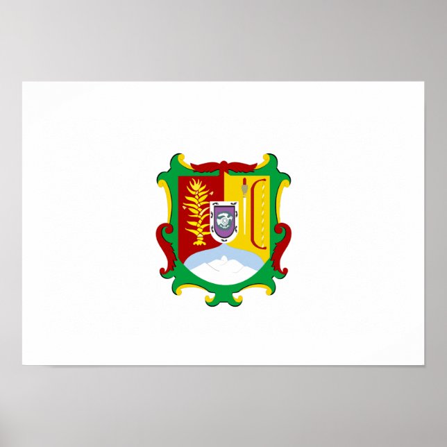 Póster Bandeira de Nayarit (Frente)
