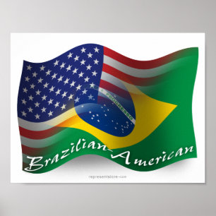 Poster Bandeira de ondas brasileira-americana