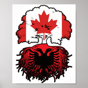 Poster Bandeira de Raízes de Árvore do Canadá Albanês