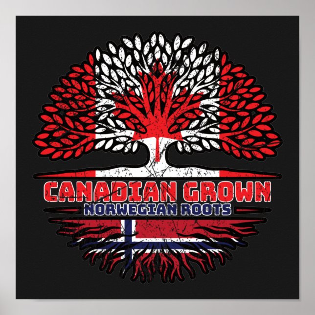 Poster Bandeira de Raízes de Árvore Norueguesa do Canadá (Frente)