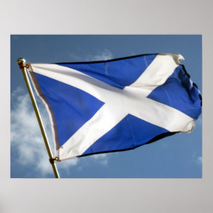 Póster bandeira de scotland