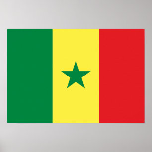 Póster Bandeira de Senegal