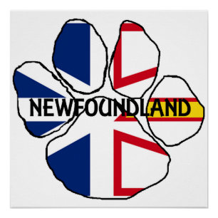 Póster bandeira de Terra Nova e Labrador nome paw