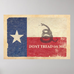 Poster Bandeira de Texas e de Gadsden