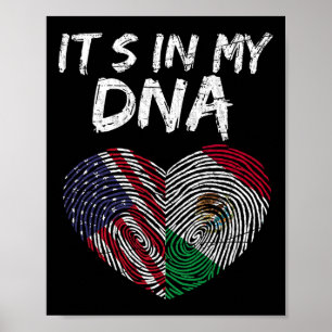Poster Bandeira Dna EUA Bandeira Americana Mexicana Méxic