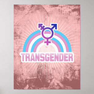 PÓSTER BANDEIRA DO ARCO-ÍRIS DO TRANSGENDER