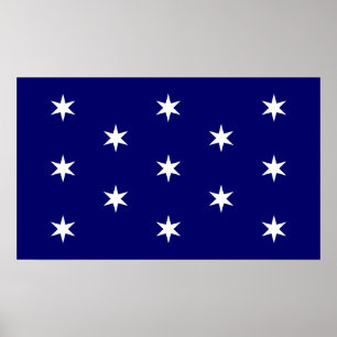 Poster Bandeira do Comandante-em-Chefe de George Washingt