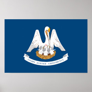 Poster Bandeira do Estado da Louisiana