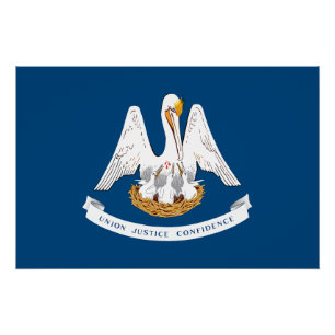 Póster Bandeira do Estado da Louisiana