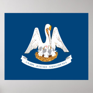 Poster Bandeira do Estado da Louisiana