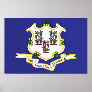 Poster Bandeira do Estado de Connecticut, EUA