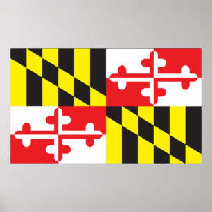 Póster Bandeira do Estado de Maryland