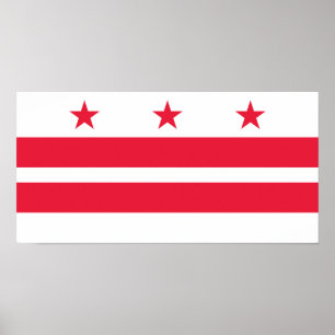 Poster Bandeira do estado de Washington, D.C.