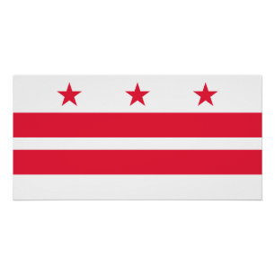 Póster Bandeira do estado de Washington DC