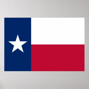Poster Bandeira do Estado do Texas